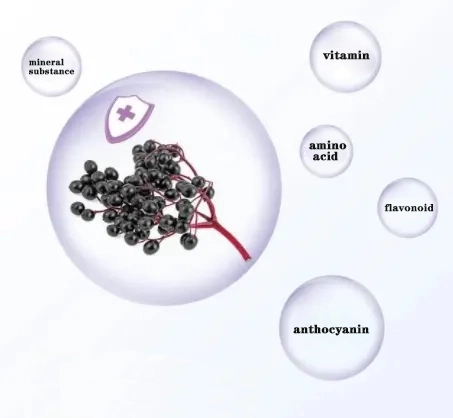 Elderberry Extract.jpg
